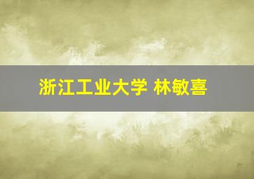 浙江工业大学 林敏喜